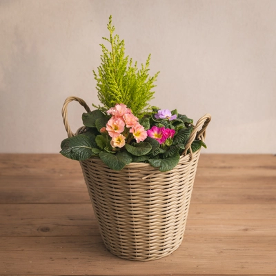 Rattan Spring Planter - image 1