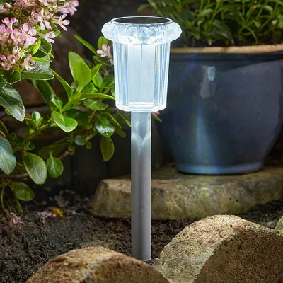Raylite Solar Stake Light