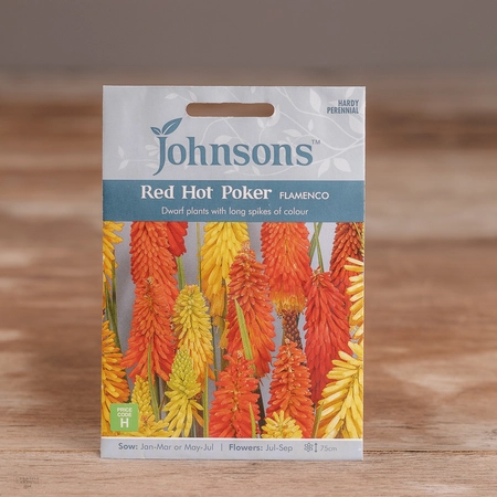 Red Hot Poker Flamenco - image 1