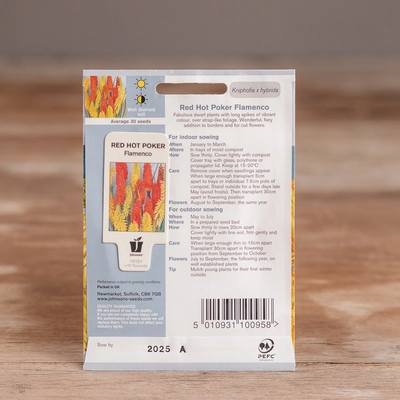 Red Hot Poker Flamenco - image 2