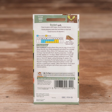 Rocket Apollo - image 2