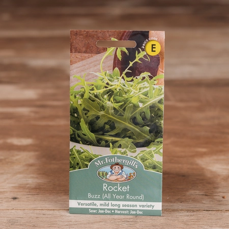 Rocket Buzz (All Year Round) - image 1