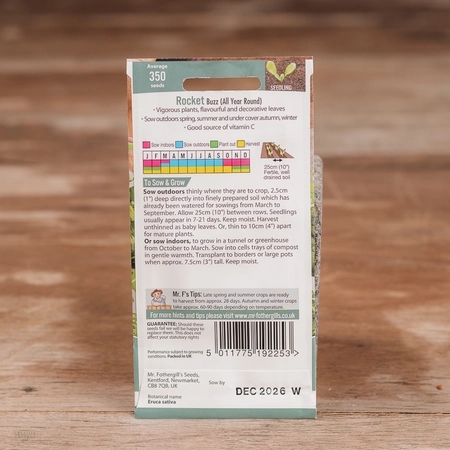 Rocket Buzz (All Year Round) - image 2