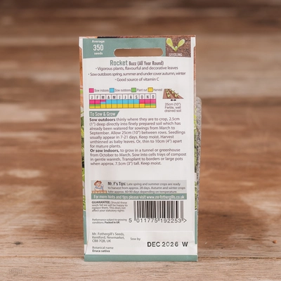 Rocket Buzz (All Year Round) - image 2