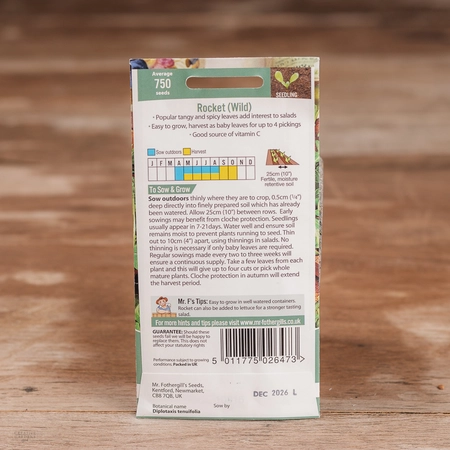 Rocket Wild - image 2