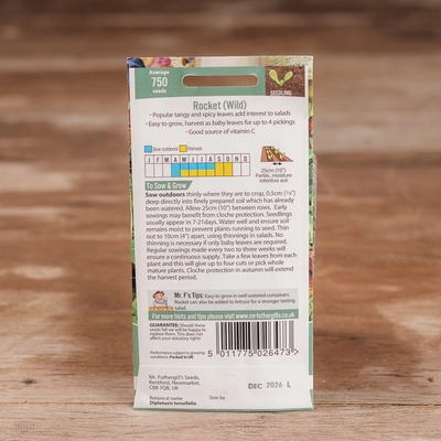 Rocket Wild - image 2