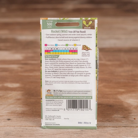 Rocket Wild Tricia (All Year Round) - image 2