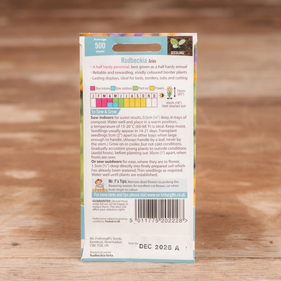 Rudbeckia Aries - image 2