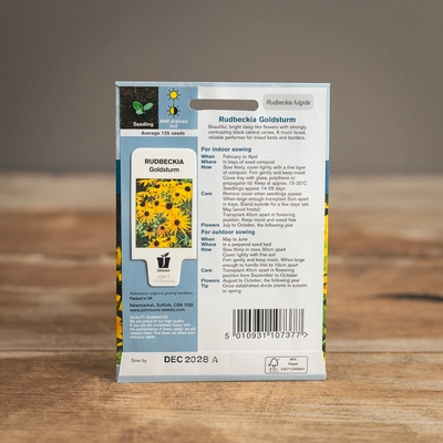 Rudbeckia Goldsturm - image 2