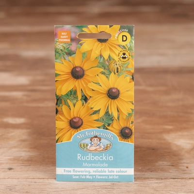 Rudbeckia Marmalade - image 1