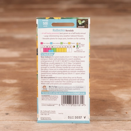 Rudbeckia Marmalade - image 2
