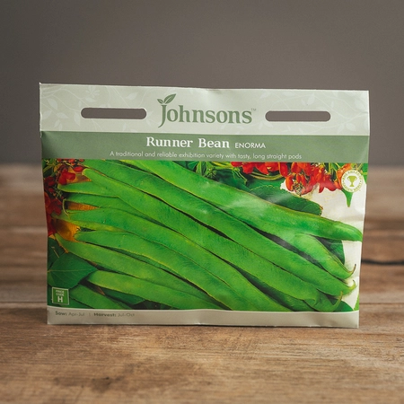 Runner Bean Enorma - image 1