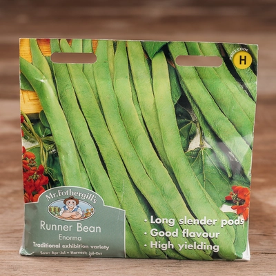 Runner Bean Enorma - image 1