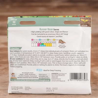 Runner Bean Enorma - image 2