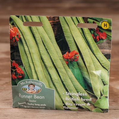 Runner Bean Polestar - image 1