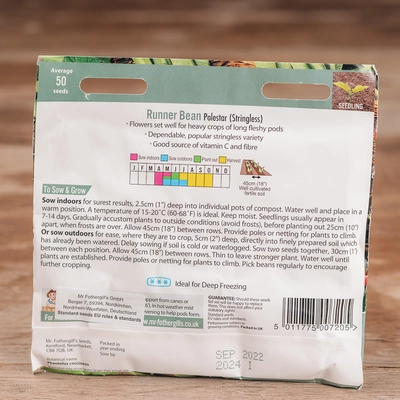 Runner Bean Polestar - image 2