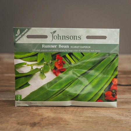 Runner Bean Scarlet Emperor - image 1
