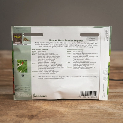 Runner Bean Scarlet Emperor - image 2