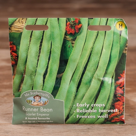 Runner Bean Scarlet Emperor - image 1