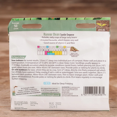 Runner Bean Scarlet Emperor - image 2