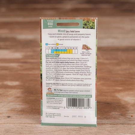 Salad Leaves Spicy Mix - image 2