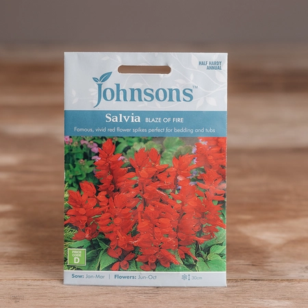 Salvia Blaze Of Fire - image 1