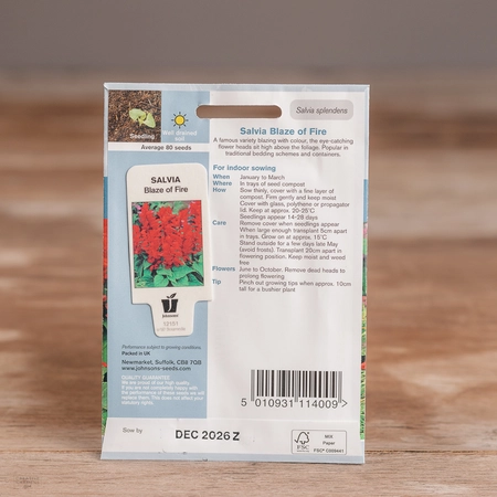 Salvia Blaze Of Fire - image 2