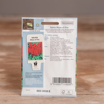 Salvia Blaze Of Fire - image 2