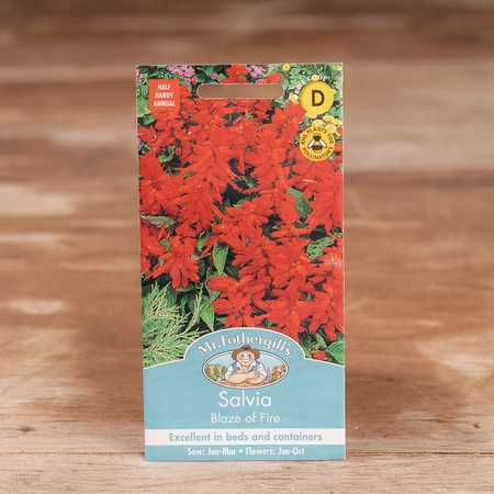 Salvia Blaze Of Fire - image 1