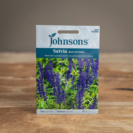 Salvia Blue Victoria - image 1