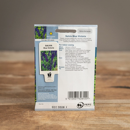 Salvia Blue Victoria - image 2