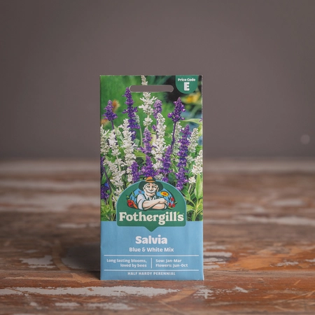 Salvia Blue & White Mix - image 1