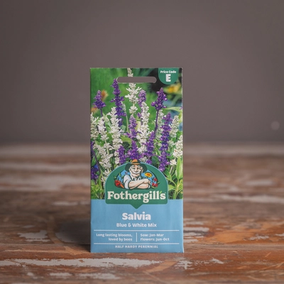 Salvia Blue & White Mix - image 1