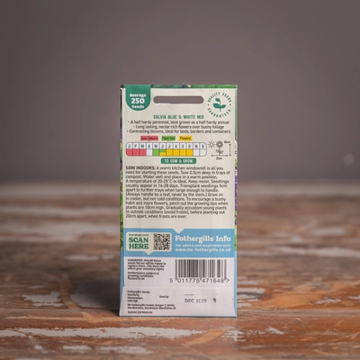 Salvia Blue & White Mix - image 2