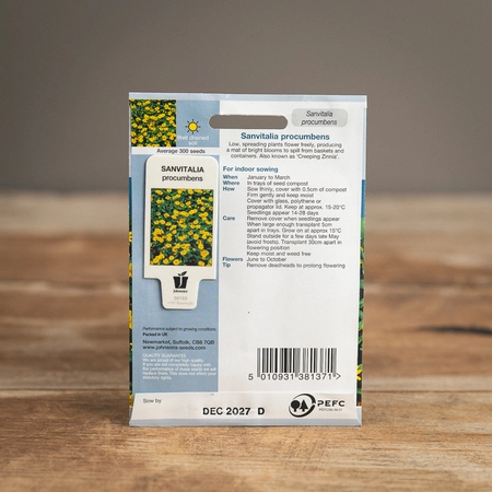 Sanvitalia Procumbens - image 2