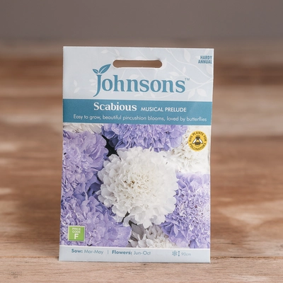 Scabious Musical Prelude - image 1