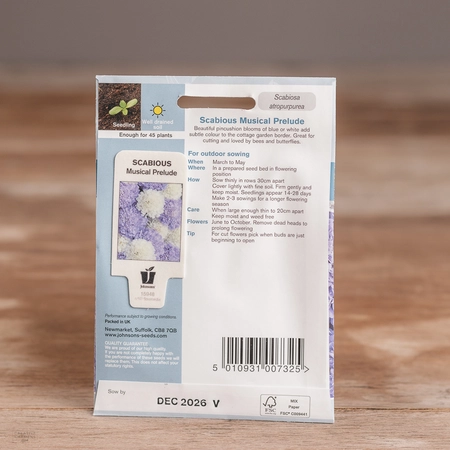 Scabious Musical Prelude - image 2