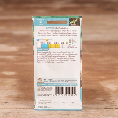 Scabious Tall Double Mix - image 2