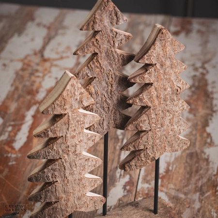 Scenery Paulownia Wood with 3 Trees - image 3