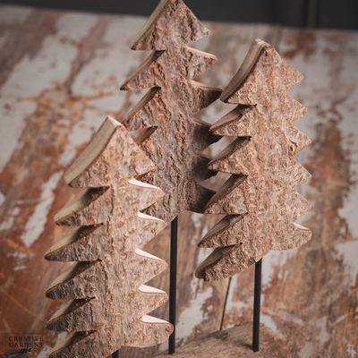 Scenery Paulownia Wood with 3 Trees - image 3