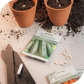 Seeds & Bulbs