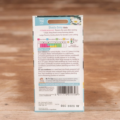 Shasta Daisy Alaska - image 2