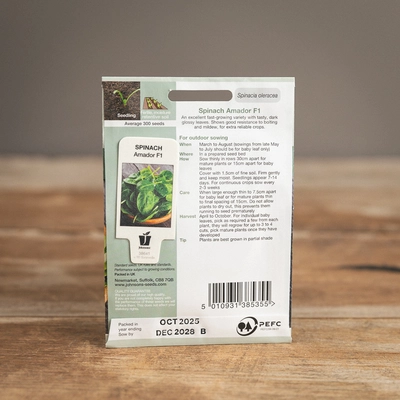 Spinach Amador F1 - image 2
