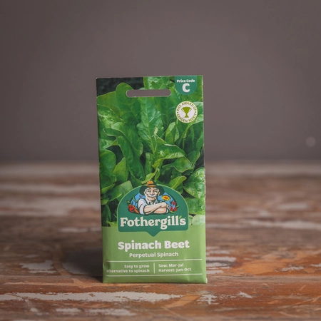 Spinach Beet Perpetual Spinach - image 1