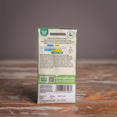 Spinach Beet Perpetual Spinach - image 2