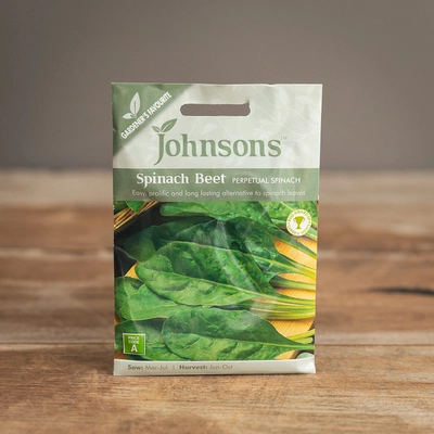 Spinach Beet Perpetual Spinach - image 1