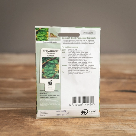 Spinach Beet Perpetual Spinach - image 2