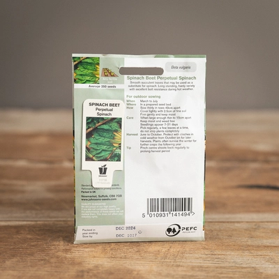 Spinach Beet Perpetual Spinach - image 2