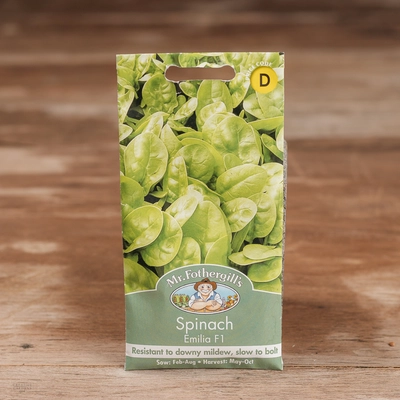Spinach Emilia F1 - image 1