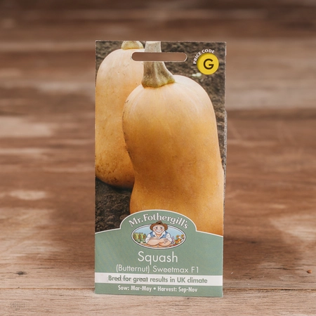 Squash (Butternut) Sweetmax F1 - image 1
